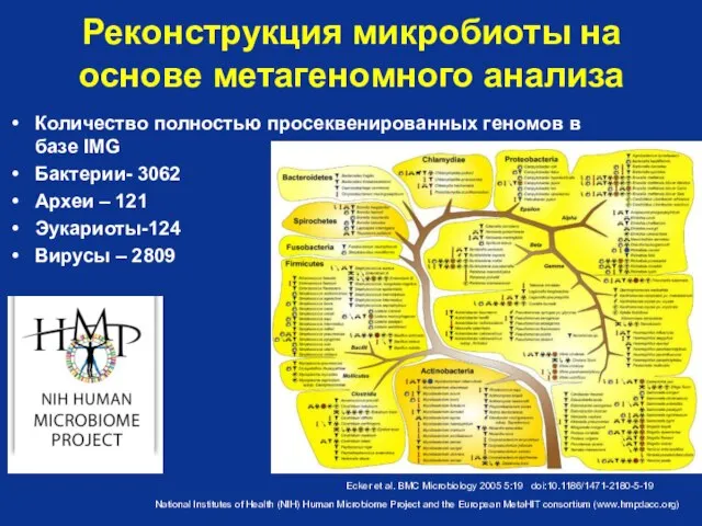 Реконструкция микробиоты на основе метагеномного анализа Ecker et al. BMC Microbiology