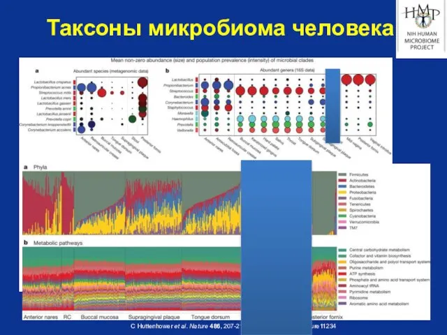 C Huttenhower et al. Nature 486, 207-214 (2012) doi:10.1038/nature11234 Таксоны микробиома человека