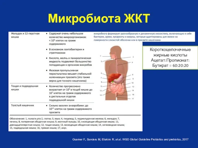 Микробиота ЖКТ Guarner F., Sanders М, Eliakim R. at al. WGO