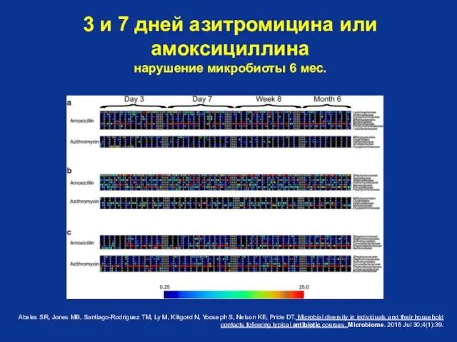 3 и 7 дней азитромицина или амоксициллина нарушение микробиоты 6 мес.