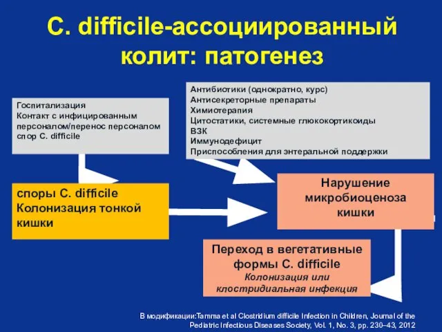 C. difficile-ассоциированный колит: патогенез Госпитализация Контакт с инфицированным персоналом/перенос персоналом спор