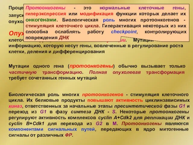 Процесс непосредственного действия канцерогена на клетки, запускающий их трансформацию, называется инициацией