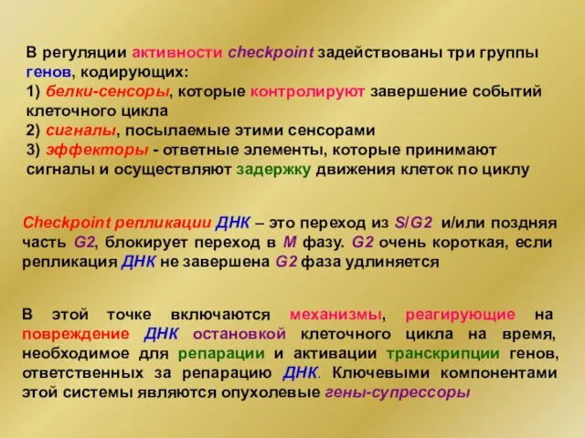 В регуляции активности checkpoint задействованы три группы генов, кодирующих: 1) белки-сенсоры,