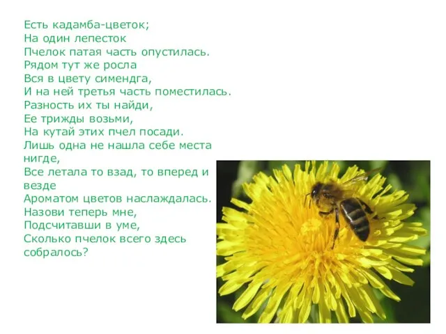 Есть кадамба-цветок; На один лепесток Пчелок патая часть опустилась. Рядом тут