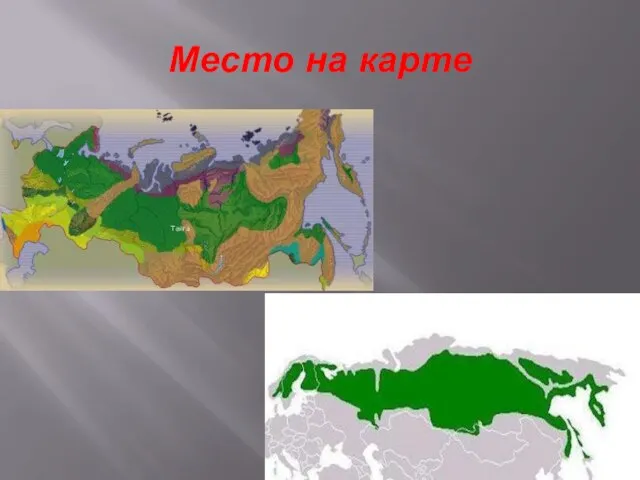 Место на карте