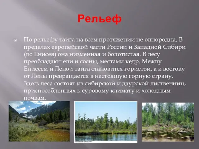 Рельеф По рельефу тайга на всем протяжении не однородна. В пределах