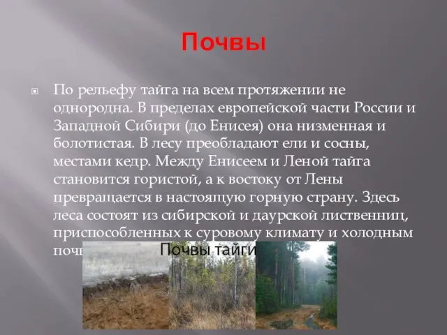 Почвы По рельефу тайга на всем протяжении не однородна. В пределах