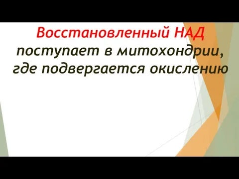 Восстановленный НАД поступает в митохондрии, где подвергается окислению