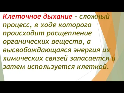 Клеточное дыхание – сложный процесс, в ходе которого происходит расщепление органических