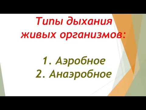 Типы дыхания живых организмов: 1. Аэробное 2. Анаэробное