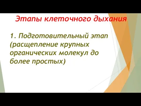 Этапы клеточного дыхания 1. Подготовительный этап (расщепление крупных органических молекул до более простых)