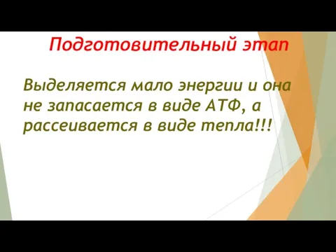 Подготовительный этап Выделяется мало энергии и она не запасается в виде