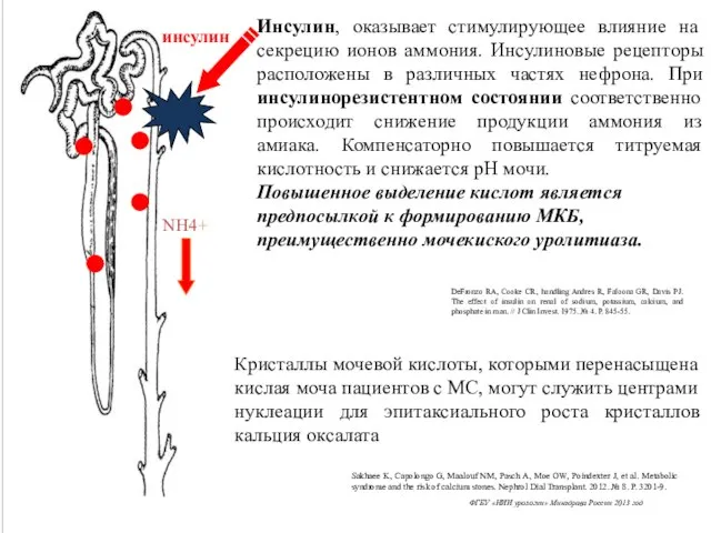 инсулин NH4+ DeFronzo RA, Cooke CR, handling Andres R, Faloona GR,