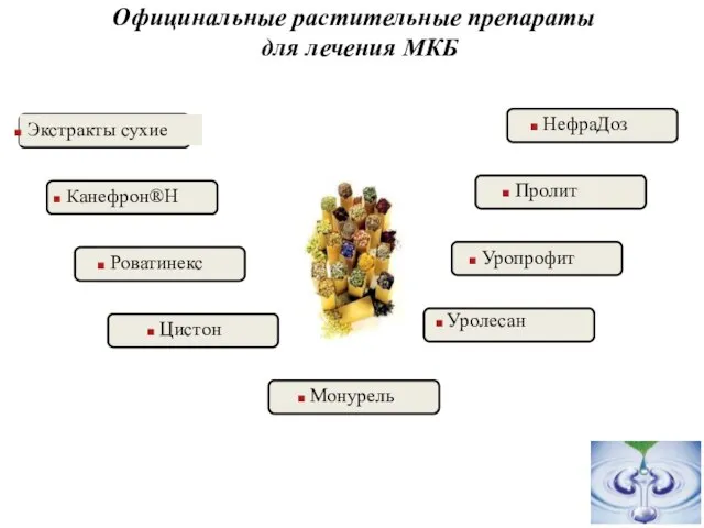 Официнальные растительные препараты для лечения МКБ Экстракты сухие Канефрон®Н Роватинекс Цистон НефраДоз Пролит Уропрофит Уролесан Монурель