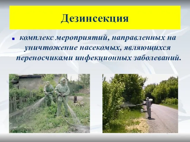 Дезинсекция комплекс мероприятий, направленных на уничтожение насекомых, являющихся переносчиками инфекционных заболеваний.