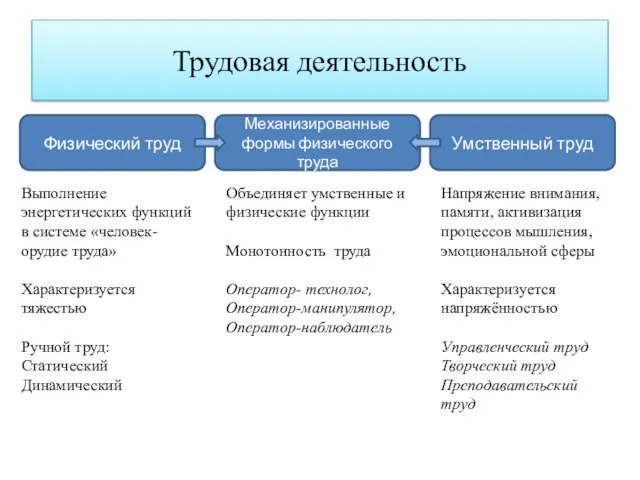 Трудовая деятельность Физический труд Умственный труд Механизированные формы физического труда Напряжение