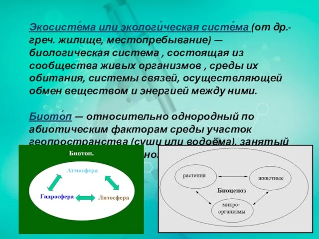 Экосисте́ма или экологи́ческая систе́ма (от др.-греч. жилище, местопребывание) — биологическая система