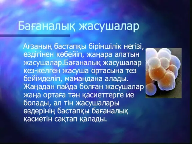 Бағаналық жасушалар Ағзаның бастапқы біріншілік негізі, өздігінен көбейіп, жаңара алатын жасушалар.Бағаналық