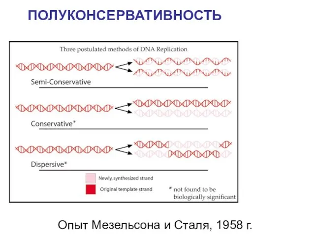 Опыт Мезельсона и Сталя, 1958 г. ПОЛУКОНСЕРВАТИВНОСТЬ