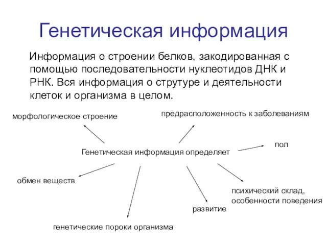 Информация о строении белков, закодированная с помощью последовательности нуклеотидов ДНК и