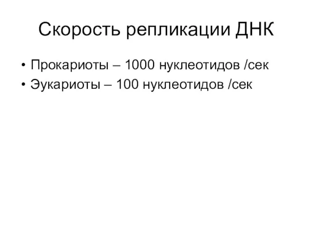 Скорость репликации ДНК Прокариоты – 1000 нуклеотидов /сек Эукариоты – 100 нуклеотидов /сек