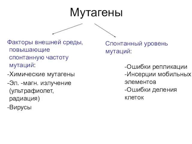 Мутагены Факторы внешней среды,повышающие спонтанную частоту мутаций: -Химические мутагены -Эл. -магн.