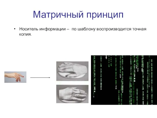 Матричный принцип Носитель информации – по шаблону воспроизводится точная копия.