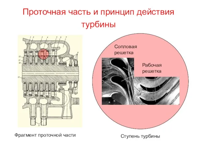 Проточная часть и принцип действия турбины Фрагмент проточной части Ступень турбины Рабочая решетка Сопловая решетка