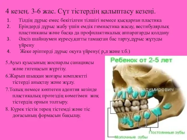 4 кезең. 3-6 жас. Сүт тістердің қалыптасу кезеңі. 5.Ауыз қуысының жоспарлы