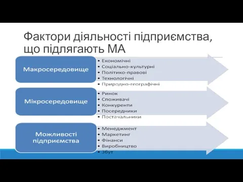 Фактори діяльності підприємства, що підлягають МА