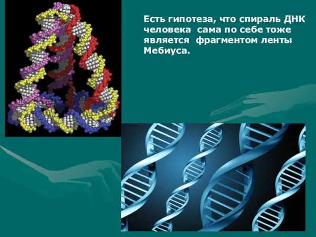 Есть гипотеза, что спираль ДНК человека сама по себе тоже является фрагментом ленты Мебиуса.