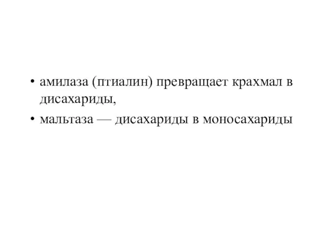 амилаза (птиалин) превращает крахмал в дисахариды, мальтаза — дисахариды в моносахариды