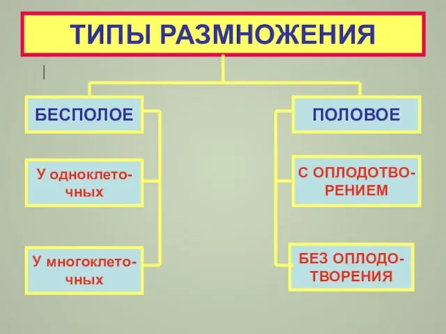 ТИПЫ РАЗМНОЖЕНИЯ БЕСПОЛОЕ У одноклето- чных ПОЛОВОЕ У многоклето- чных С ОПЛОДОТВО- РЕНИЕМ БЕЗ ОПЛОДО- ТВОРЕНИЯ