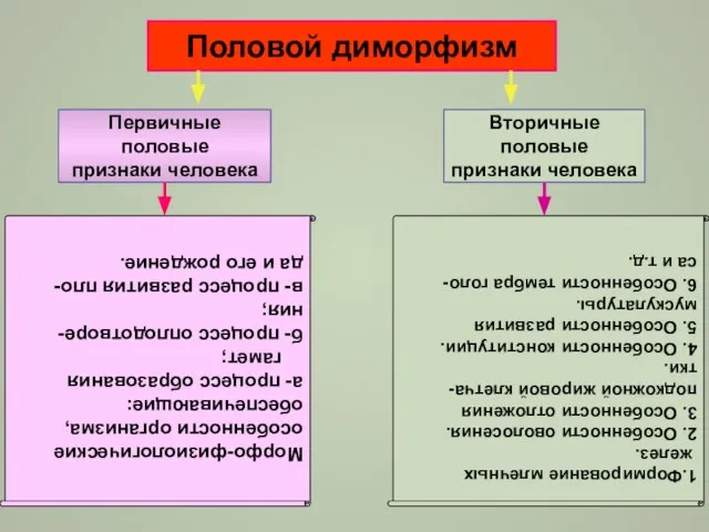 Половой диморфизм Первичные половые признаки человека Вторичные половые признаки человека Морфо-физиологические