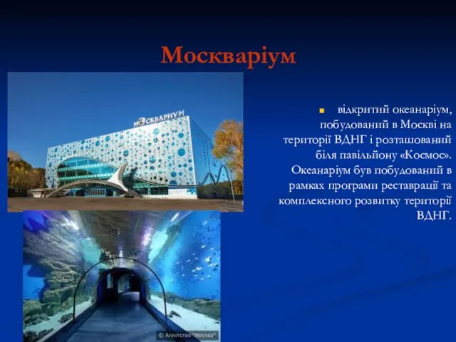 Москваріум відкритий океанаріум, побудований в Москві на території ВДНГ і розташований