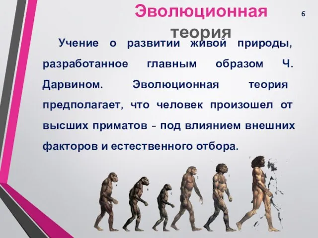 Эволюционная теория Учение о развитии живой природы, разработанное главным образом Ч.