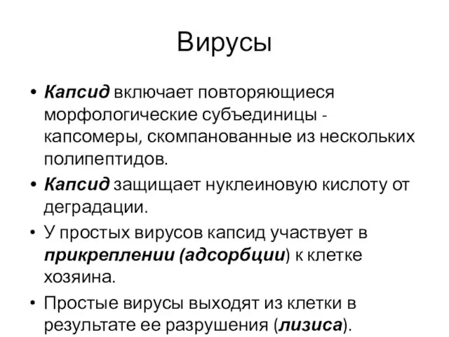 Вирусы Капсид включает повторяющиеся морфологические субъединицы - капсомеры, скомпанованные из нескольких