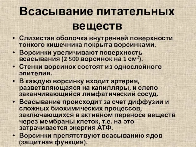 Всасывание питательных веществ Слизистая оболочка внутренней поверхности тонкого кишечника покрыта ворсинками.