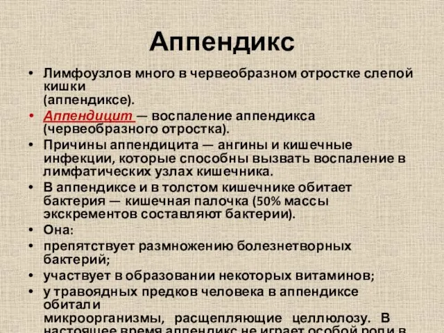 Аппендикс Лимфоузлов много в червеобразном отростке слепой кишки (аппендиксе). Аппендицит —