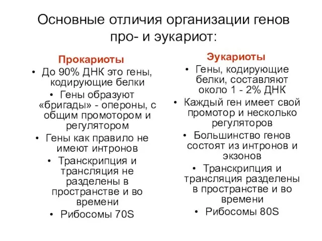 Основные отличия организации генов про- и эукариот: Прокариоты До 90% ДНК