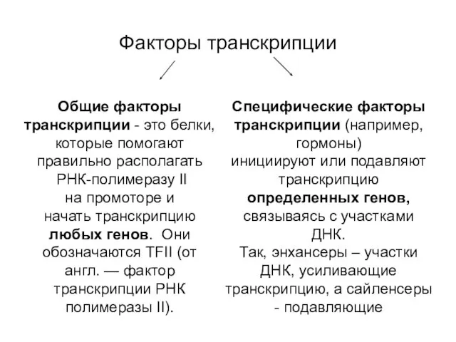 Факторы транскрипции Специфические факторы транскрипции (например, гормоны) инициируют или подавляют транскрипцию