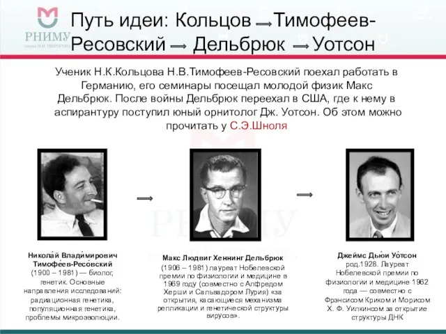 Путь идеи: Кольцов Тимофеев-Ресовский Дельбрюк Уотсон Никола́й Влади́мирович Тимофе́ев-Ресо́вский (1900 –