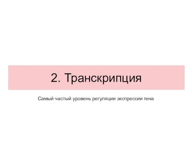 2. Транскрипция Самый частый уровень регуляции экспрессии гена