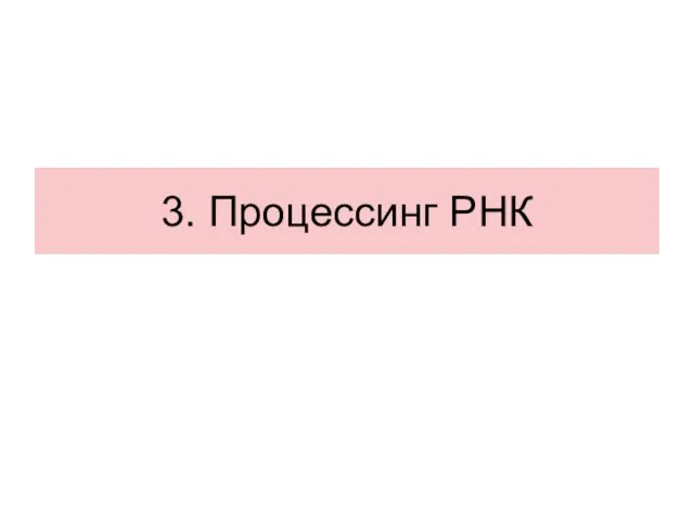 3. Процессинг РНК