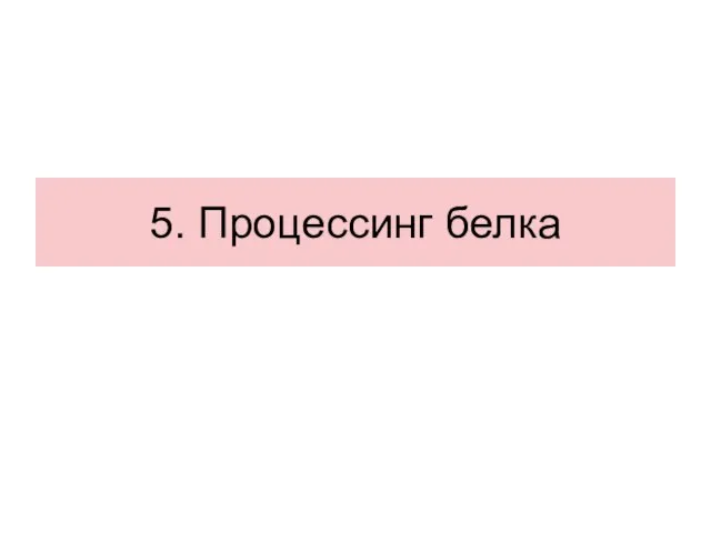 5. Процессинг белка