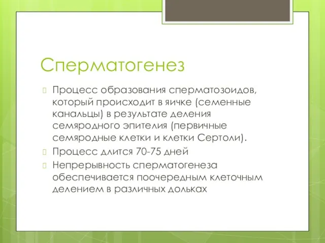 Сперматогенез Процесс образования сперматозоидов, который происходит в яичке (семенные канальцы) в