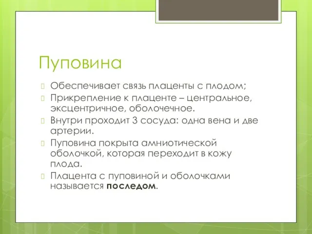 Пуповина Обеспечивает связь плаценты с плодом; Прикрепление к плаценте – центральное,