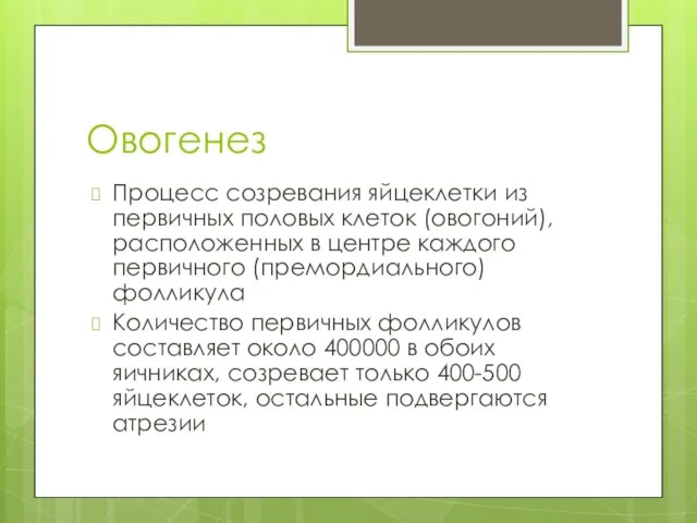 Овогенез Процесс созревания яйцеклетки из первичных половых клеток (овогоний), расположенных в