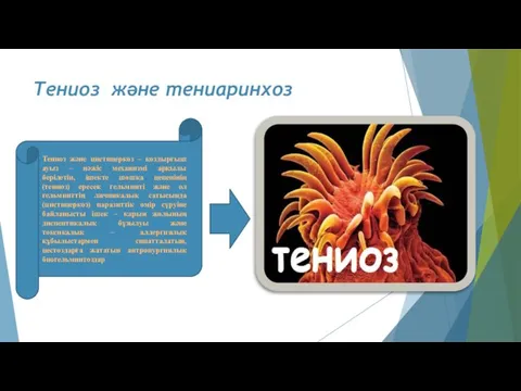 Тениоз және тениаринхоз Тениоз және цистицеркоз – қоздырғыш ауыз – нәжіс