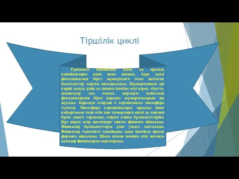 Тіршілік циклі Түпкілікті қожайыны адам, ал аралық қожайындары адам және шошқа.